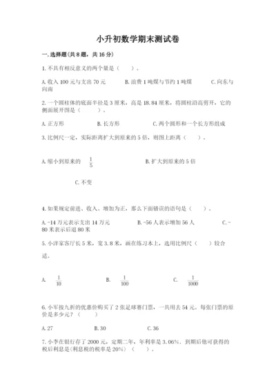 小升初数学期末测试卷审定版.docx