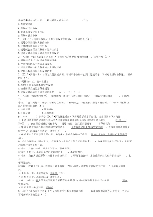 七年级生物下册12 1神经系统与神经调节练习2新版北师大版