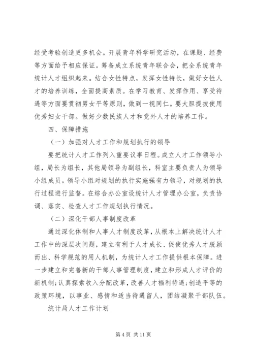 统计局人才工作计划范文.docx