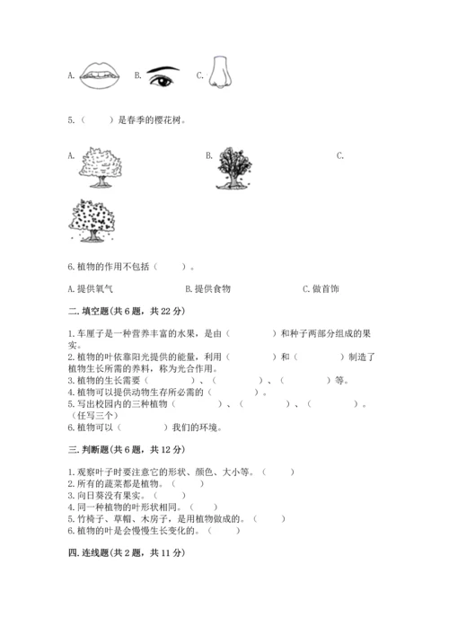 教科版科学一年级上册第一单元《植物》测试卷及完整答案（名师系列）.docx