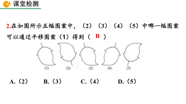 7.4 平移（课件）2024-2025学年人教七年级数学下册