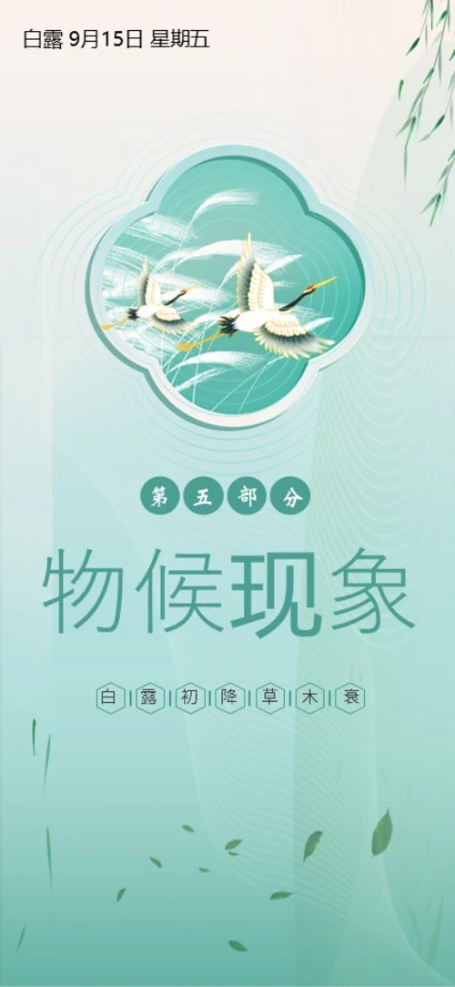白露节气二十四节气知识手机竖版PPT课件