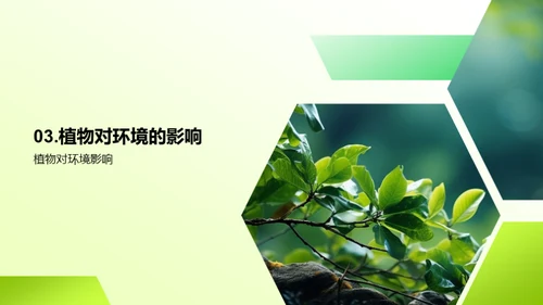 绿色力量：揭秘植物世界