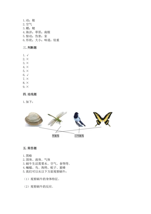 教科版一年级下册科学期末测试卷附参考答案【培优a卷】.docx