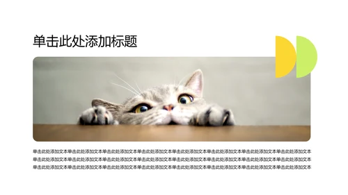 彩色简约几何风宠物行业职业介绍PPT模板