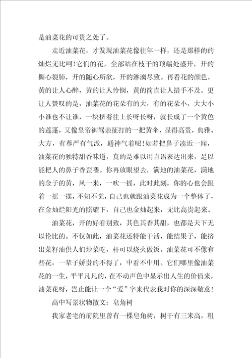 高中写景状物散文3篇