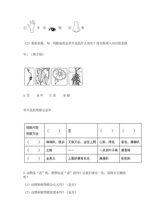 教科版科学一年级上册第一单元《植物》测试卷附完整答案（有一套）