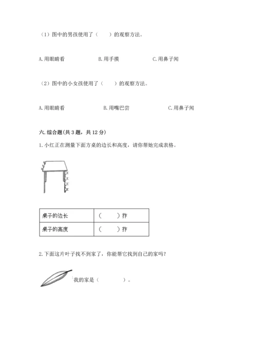 教科版一年级上册科学期末测试卷a4版.docx