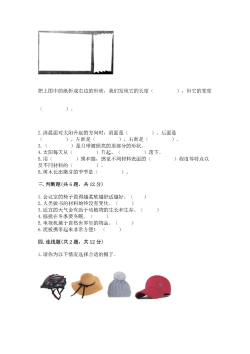 教科版二年级上册科学期末测试卷（突破训练）.docx