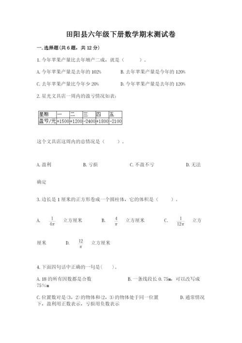 田阳县六年级下册数学期末测试卷精选.docx