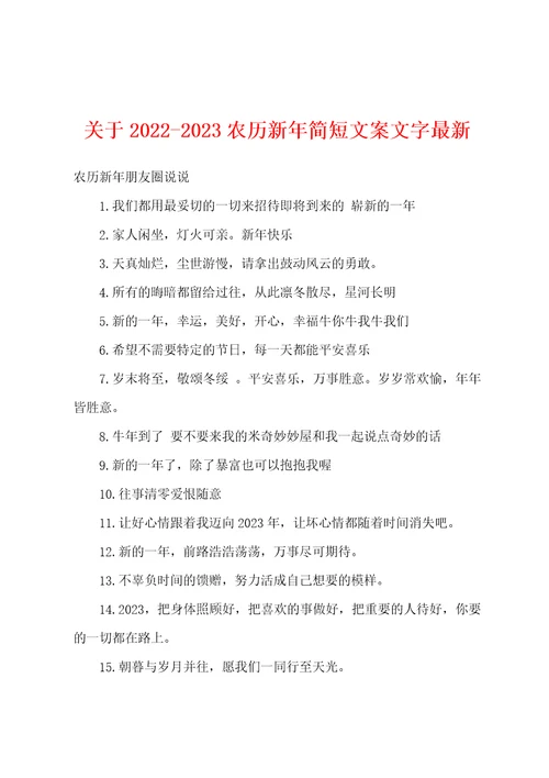 关于20222023农历新年简短文案文字最新