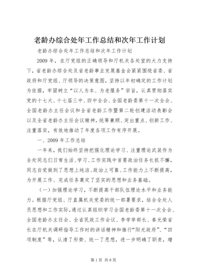 老龄办综合处年工作总结和次年工作计划 (2).docx