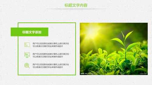 唯美绿色茶园茶文化品茶论道PPT模板