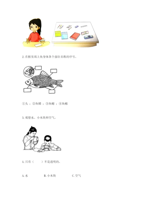 教科版小学科学一年级下册期末测试卷含完整答案（夺冠）.docx