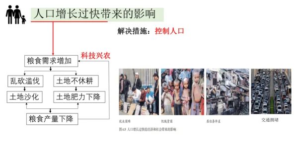 4.1人口与人种-2023-2024学年七年级地理上册同步优质课件（人教版）（共30张PPT）