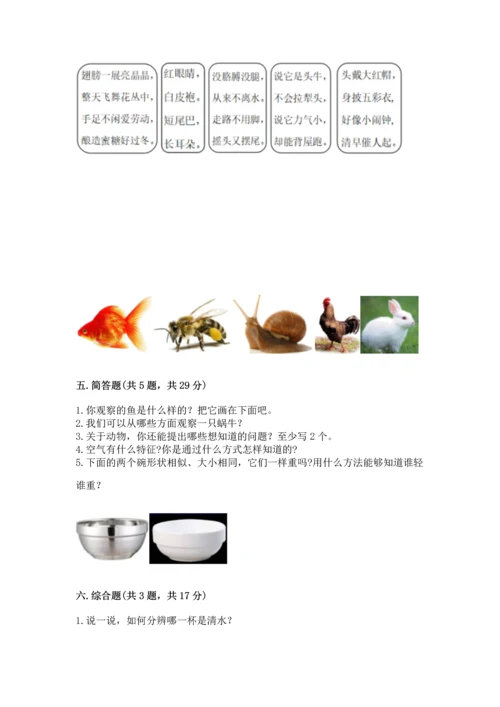 教科版一年级下册科学期末测试卷附参考答案（考试直接用）.docx