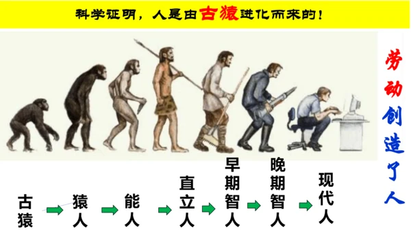 第1课 中国境内早期人类的代表—北京人 课件