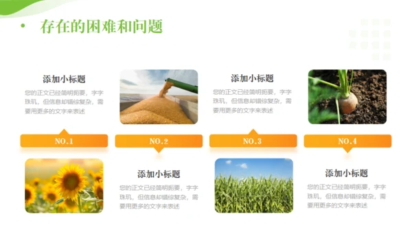 全面推进乡村振兴，田间经济通用PPT模板