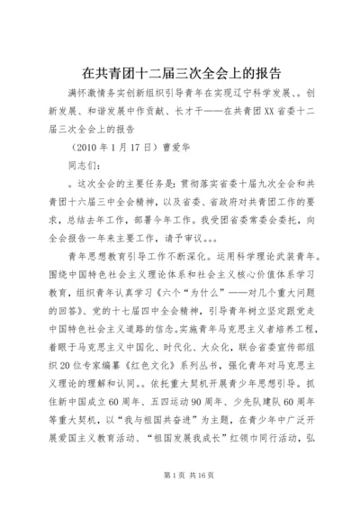 在共青团十二届三次全会上的报告.docx