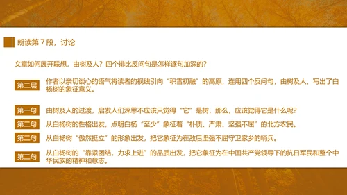 初中语文茅盾《白杨礼赞》PPT教学课件