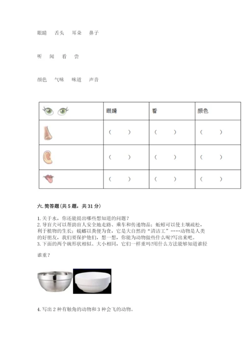 教科版一年级下册科学期末测试卷及完整答案【全国通用】.docx