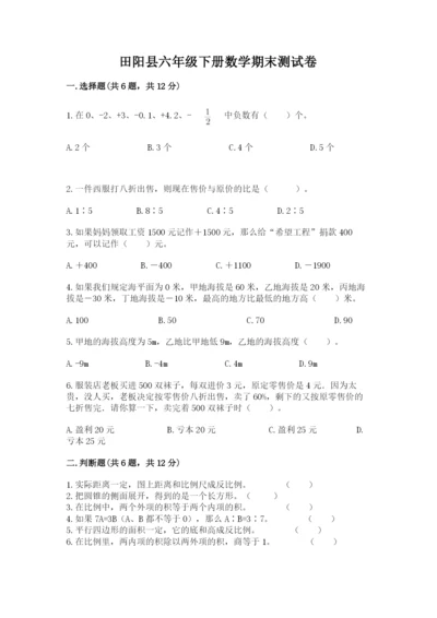 田阳县六年级下册数学期末测试卷及一套答案.docx