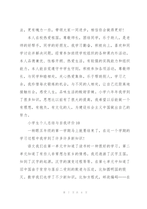 小学生个人总结与自我评价范文十篇.docx