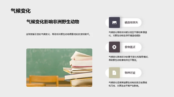 探索非洲野生动物之旅
