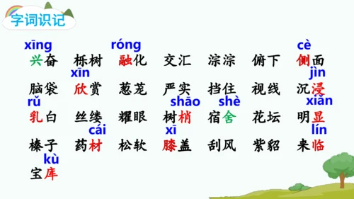 20.美丽的小兴安岭   课件
