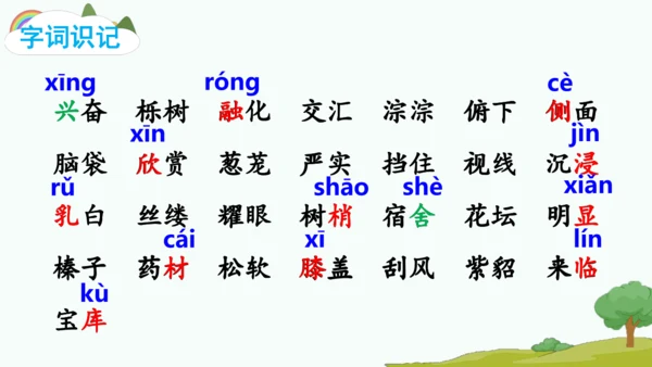 20.美丽的小兴安岭   课件