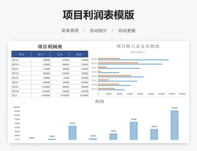 项目利润表模版