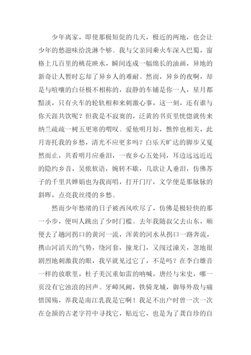 文学是灯满分作文.docx