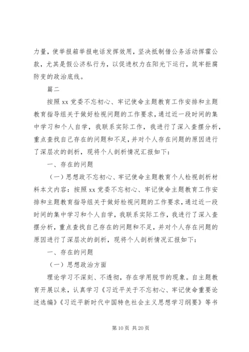 班子成员主题教育活动党员干部检视剖析材料.docx