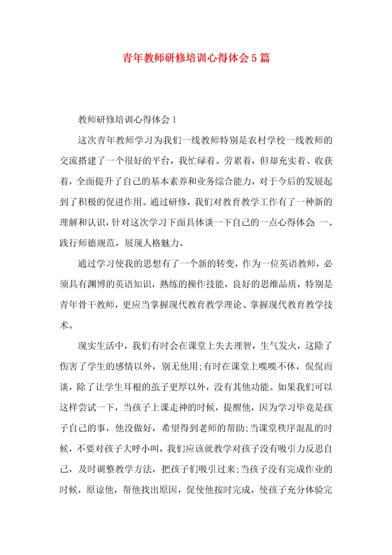青年教师研修培训心得体会5篇.docx