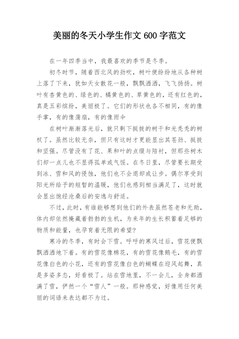 美丽的冬天小学生作文600字范文.docx
