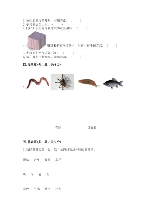 教科版一年级下册科学期末测试卷附答案（轻巧夺冠）.docx