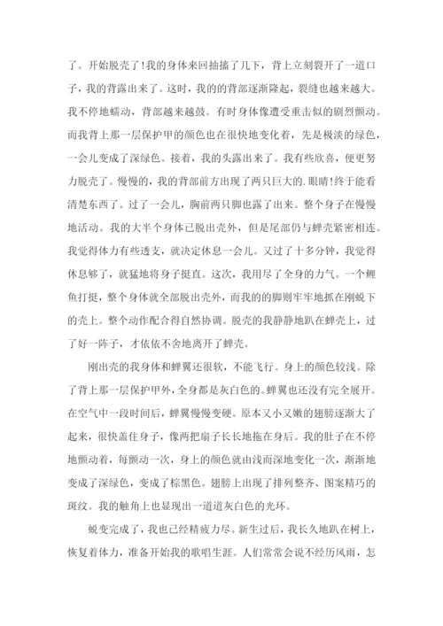中学生续写的作文【精选5篇】.docx