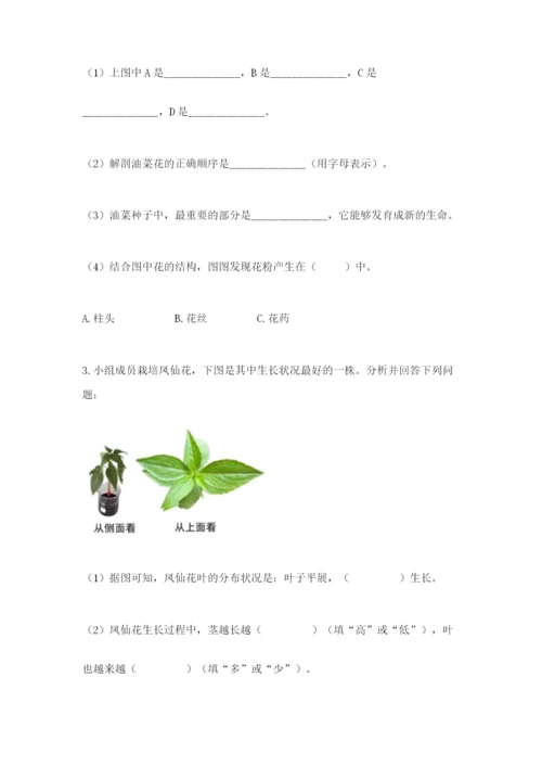 科学四年级下册第一单元《植物的生长变化》测试卷【精品】.docx