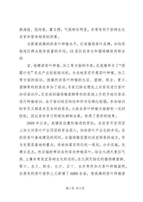 候场园区观摩会简报(75).docx