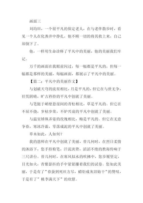 平凡中的美丽作文.docx