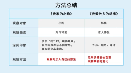 部编版三年级语文上册 第五单元习作例文：我家的小狗  课件