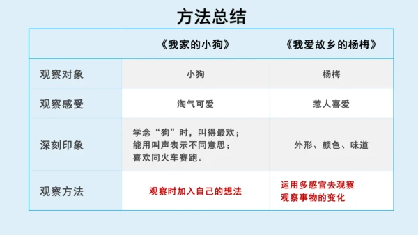 部编版三年级语文上册 第五单元习作例文：我家的小狗  课件