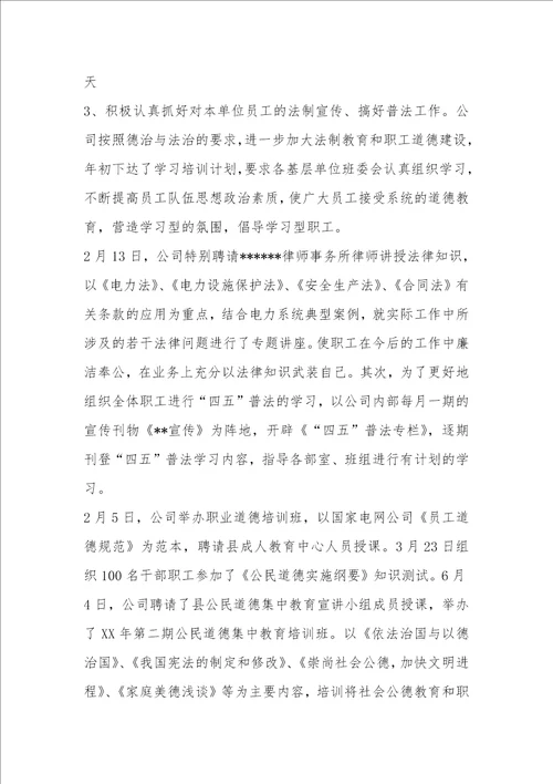 XX年度综合治理工作总结
