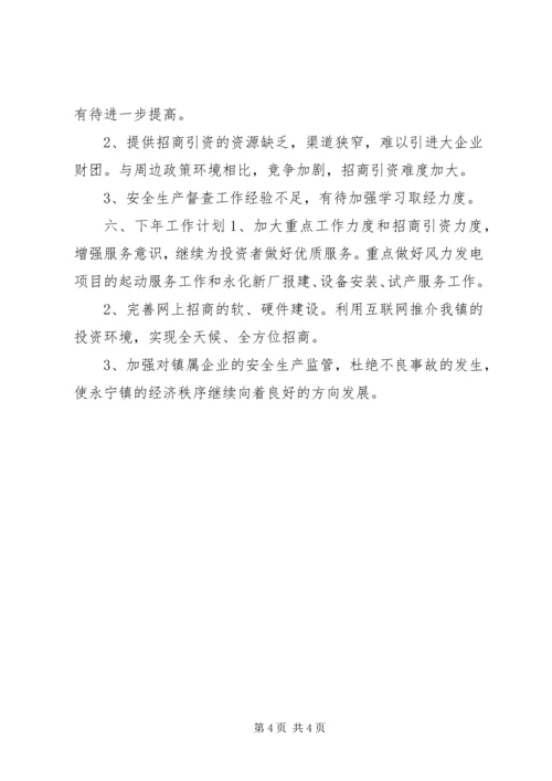 乡镇年度经发办工作总结和工作计划.docx