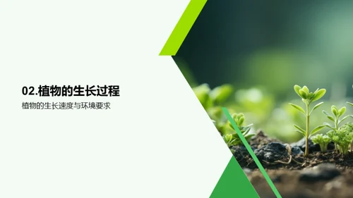 植物奥秘：生命之源