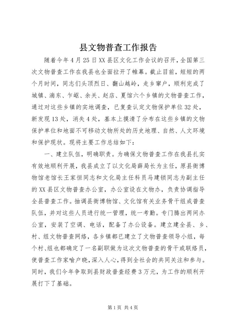 县文物普查工作报告.docx