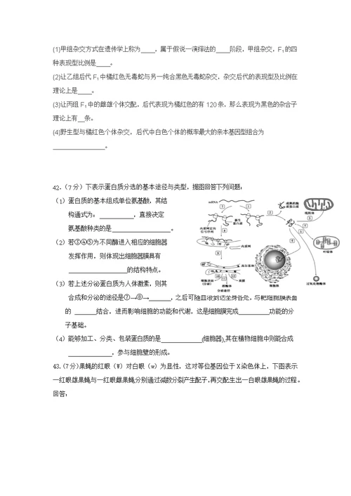 福建省厦门市翔安第一中学2017届高三上学期期中考试 生物