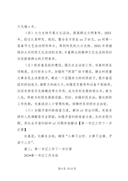 第一书记工作总结及下一步计划与打算.docx