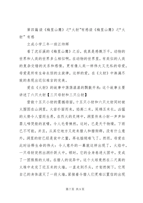 梅里山鹰读后感.docx