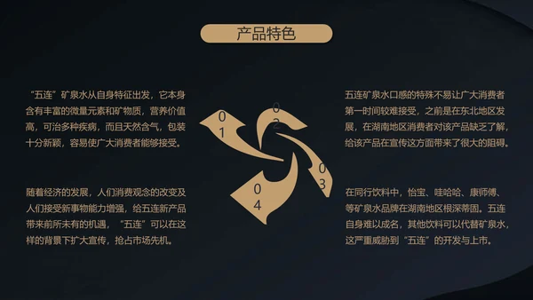 高端融资产品PPT计划书